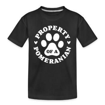Eigentum eines Zwergspitzs - Kinder Premium Bio T-Shirt - Schwarz - Vorne