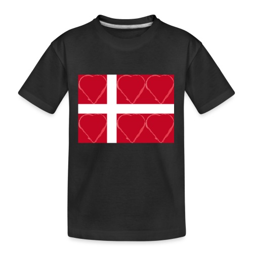 Dänemark 21.2 - Teenager Premium Bio T-Shirt