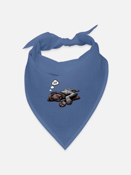 Deutsch Drahthaar Deutsch-Drahthaar Besitzer - Bandana Dreieckstuch - Taubenblau