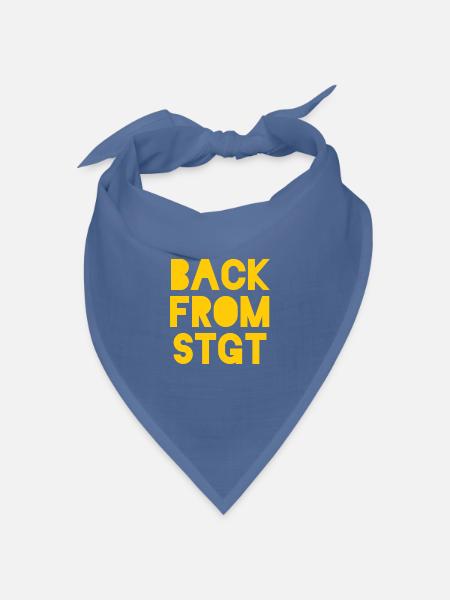Back from Stuttgart - Bandana Dreieckstuch - Taubenblau