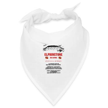 Ägypten Rotes Meer Elphinstone Tauchen Geschenk - Bandana Dreieckstuch - Weiß - Vorne