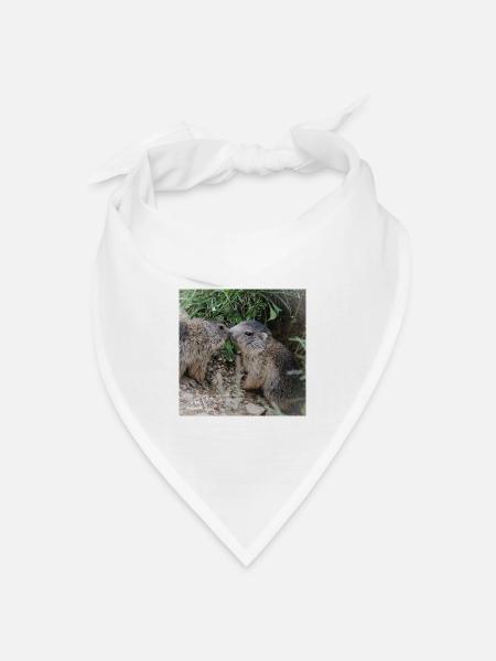 Murmeltiere 5 verschmust. Alpen Liebe und Geschenk - Bandana Dreieckstuch - Weiß