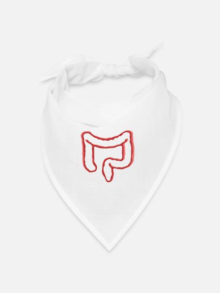 DARM ORGAN - Bandana Dreieckstuch - Weiß