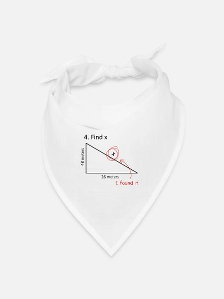 Finde x Find x Geometrie Mathematik Trigonometrie - Bandana Dreieckstuch - Weiß