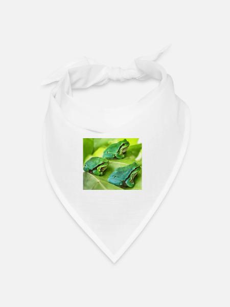 Die drei grünen Laubfrösche - Bandana Dreieckstuch - Weiß