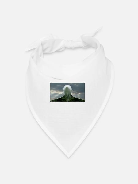 concorde & Sonnenstrahlen 120dpi - Bandana Dreieckstuch - Weiß