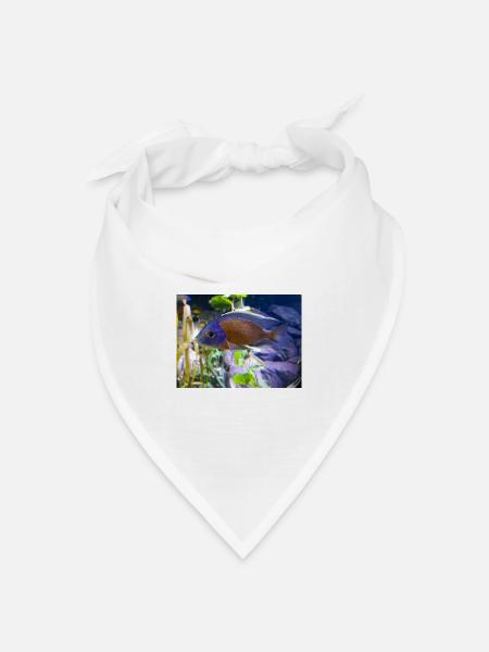 Copadichromis borleyi Buntbarsch - Bandana Dreieckstuch - Weiß