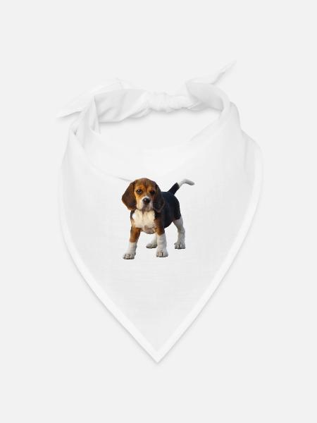 Beagle - Bandana Dreieckstuch - Weiß
