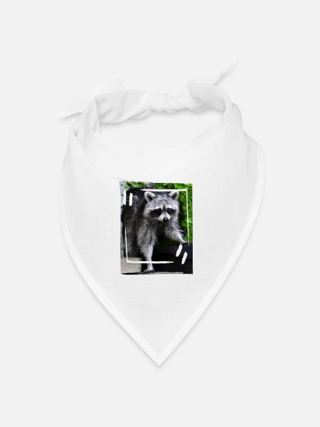 Hübscher Waschbär - Bandana Dreieckstuch - Weiß