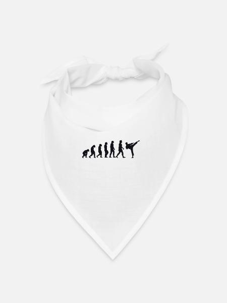 Evolution of Karate - Bandana Dreieckstuch - Weiß