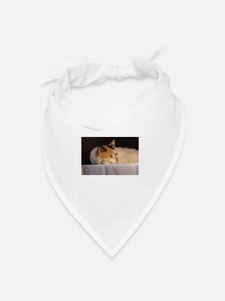 Die Katze - Bandana Dreieckstuch - Weiß