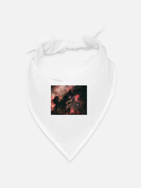 IC 5070 Pelikannebel - Bandana Dreieckstuch - Weiß