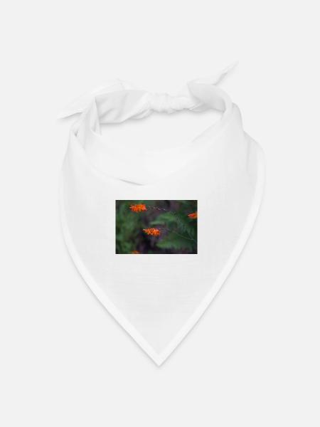 Orangefarbene Blüte am gewölbten Stiel - Bandana Dreieckstuch - Weiß