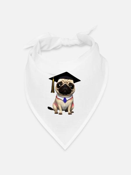 Bachelor Bulldogge Schulabschluss Studium Hunde - Bandana Dreieckstuch - Weiß