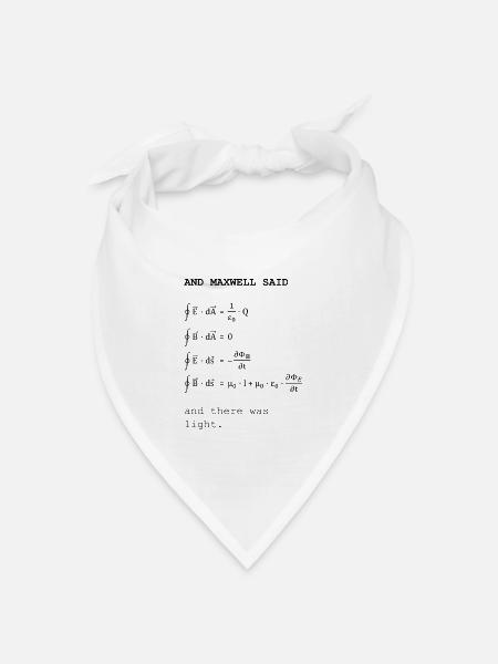 Maxwell-Gleichungen - Bandana Dreieckstuch - Weiß