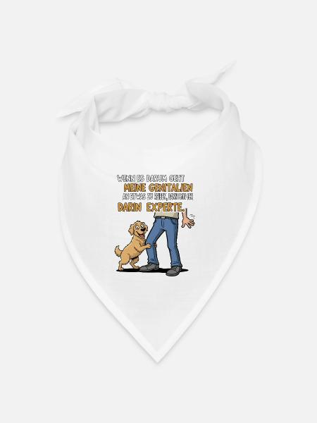 Reib-Experte Hund - Bandana Dreieckstuch - Weiß