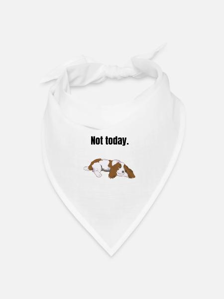 Cavalier King Charles Spaniel faul Geschenk - Bandana Dreieckstuch - Weiß