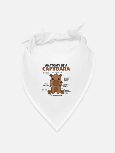 süßes Capybara Erklärung Anatomy of a Capybara - Bandana Dreieckstuch - Weiß