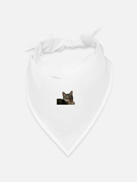 Katze Kätzchen - Bandana Dreieckstuch - Weiß
