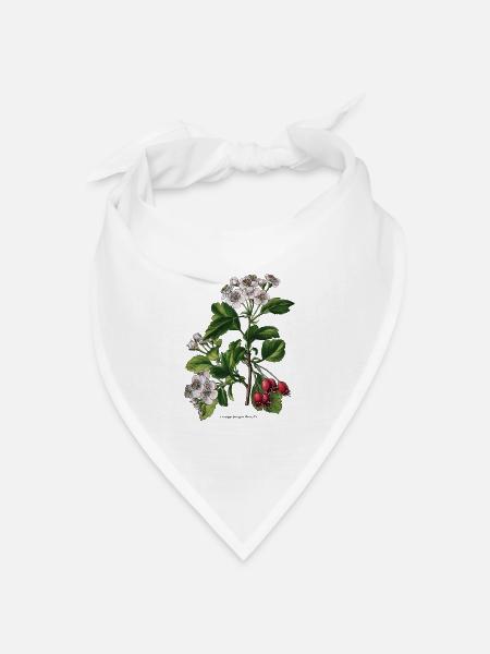 Weißdorn - Bandana Dreieckstuch - Weiß