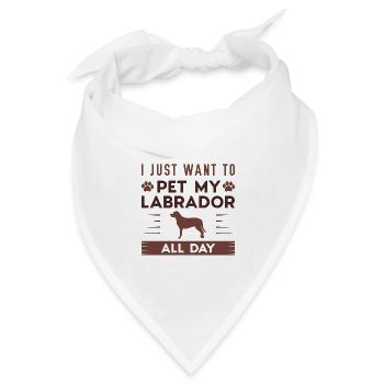 Ich möchte nur meinen Labrador den ganzen Tag streicheln - Bandana Dreieckstuch - Weiß - Vorne