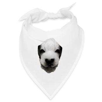 Welpen Gesicht - Bandana Dreieckstuch - Weiß - Vorne