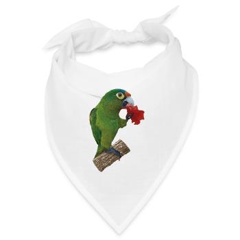 Orangenstirnsittich - Bandana Dreieckstuch - Weiß - Vorne