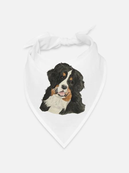 Bovaro bernese - Bandana - bianco
