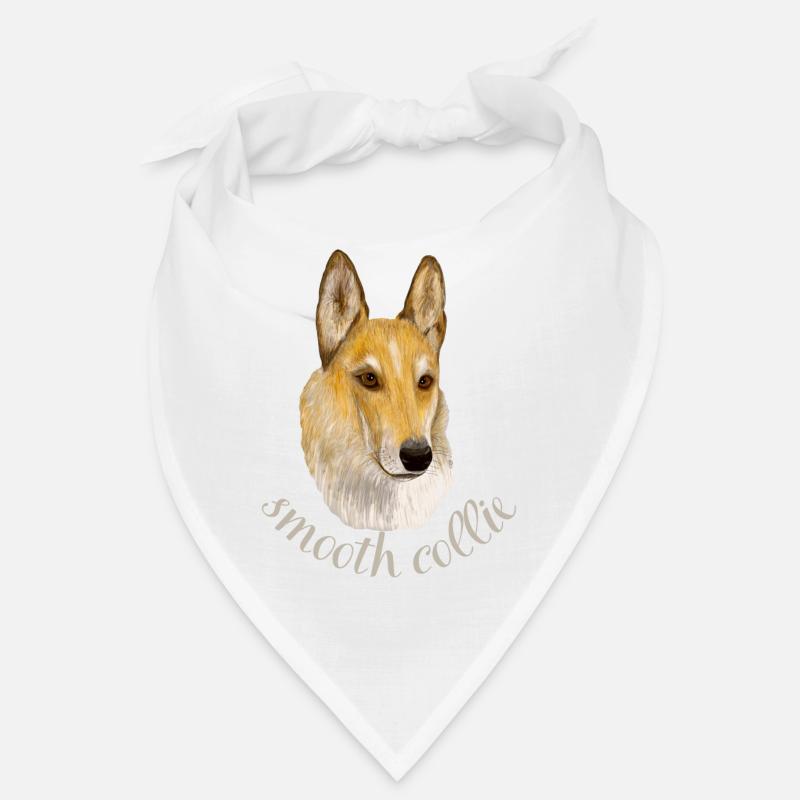 Collie lisse Bandana