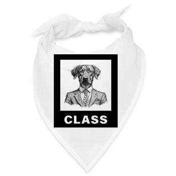 Dog with Class - Bandana - Weiß - Vorne