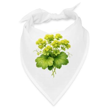 Frauenmantel Pflanze mit Blüten  - Bandana - Weiß - Vorne