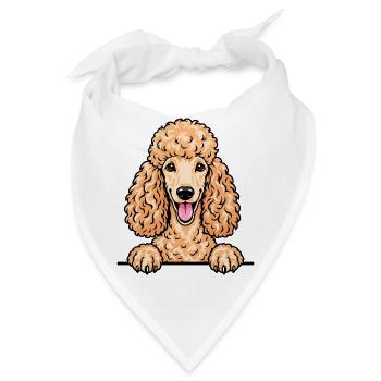 Pudel - Bandana - Weiß - Vorne