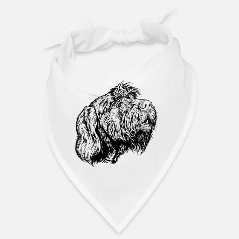 Pudelpointer redet mit Bandana