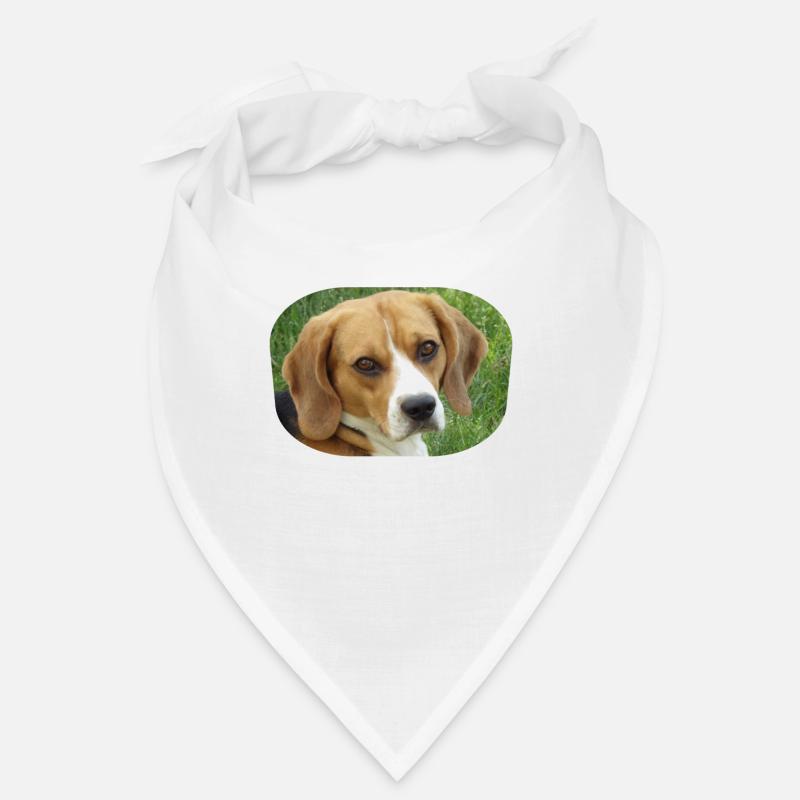 beagle Bandana