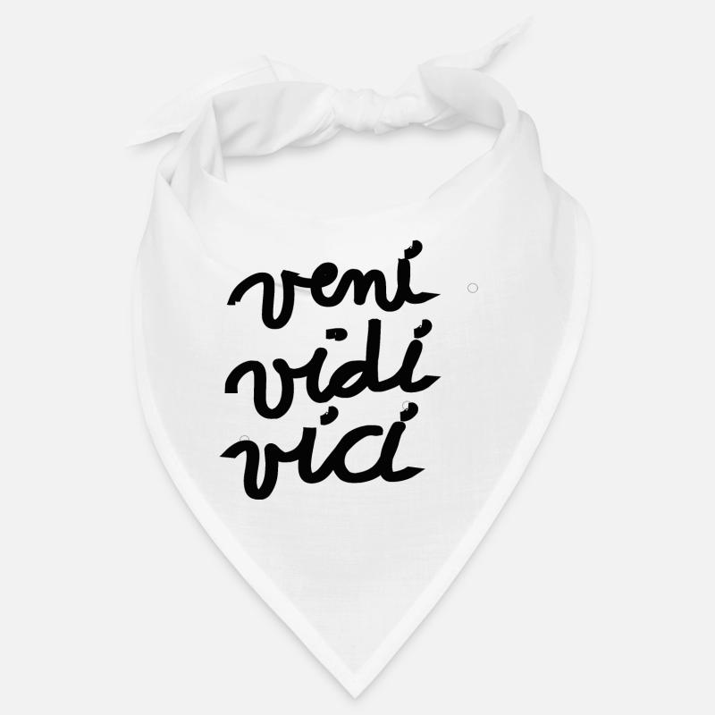 veni vidi vici Geschenk Idee römisch Bandana