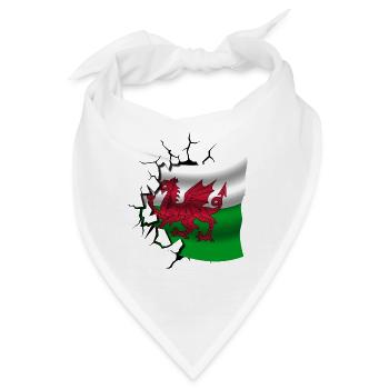 Flagge von Wales - Walisisch - Flagge gebrochenes Design - Bandana - Weiß - Vorne