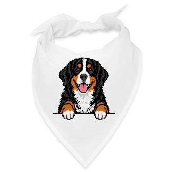 Berner Sennenhund - Bandana - Weiß - Vorne