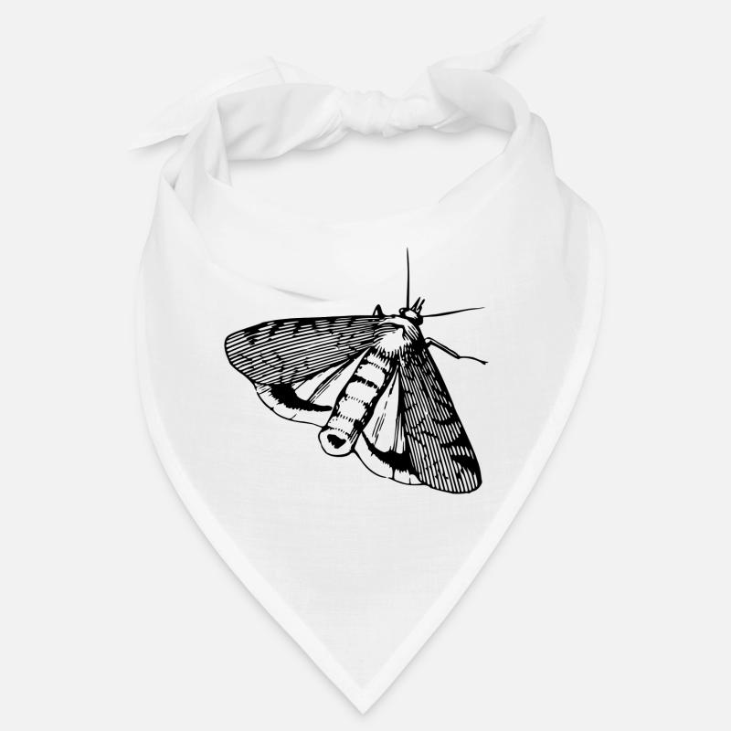 Papillon, papillon, insecte Bandana