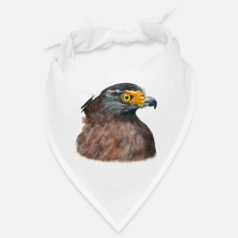 Buse du désert Buse Oiseau de proie Oiseau de proie Bandana