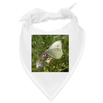 Weißer Schmetterling auf rosa Blüte - Bandana - Weiß - Vorne