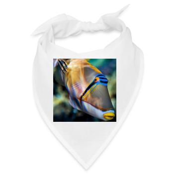 PicassoDrückerFisch Porträt wildlife - Bandana - Weiß - Vorne