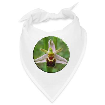 Die Bienenragwurz ist eine heimische Orchidee - Bandana - Weiß - Vorne