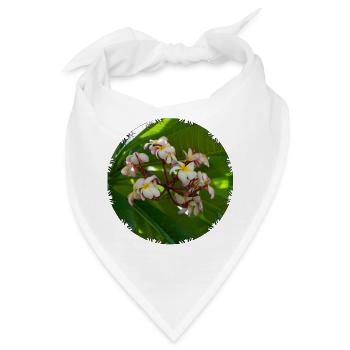 Plumeria Frangipani-Blüten - Bandana - Weiß - Vorne