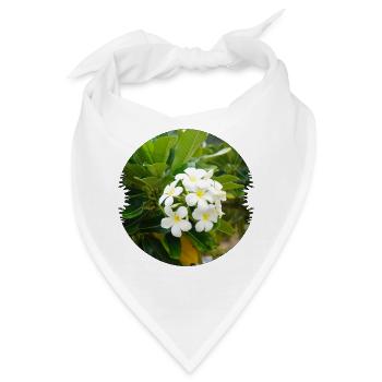 Plumeria ist eine exotische und duftende Blume - Bandana - Weiß - Vorne