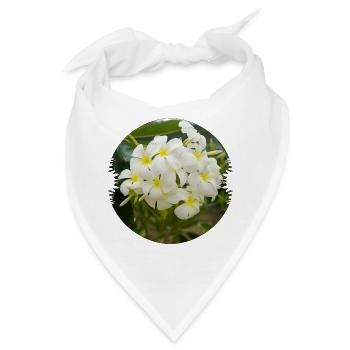 Plumeria sind in den Tropen vertreten - Bandana - Weiß - Vorne