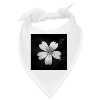 Weiße Blume Ackerhornkraut, Acker-Hornkraut Poster - Bandana - Weiß - Vorne