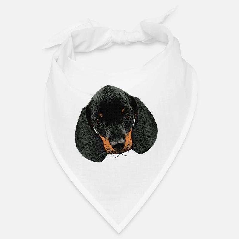 Hunde mädchen, Dackel welpe Kopf Bandana
