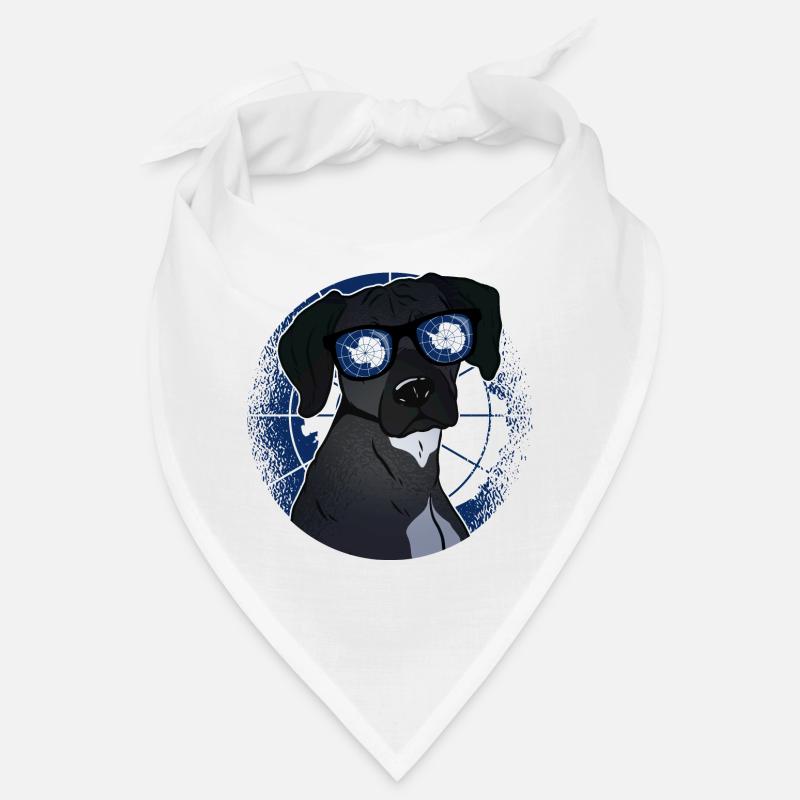 Antarctica Bandana