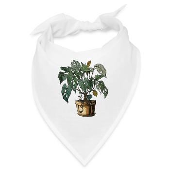 Zimmerpflanze / Topfpflanze / Dekoration / Topf - Bandana - Weiß - Vorne