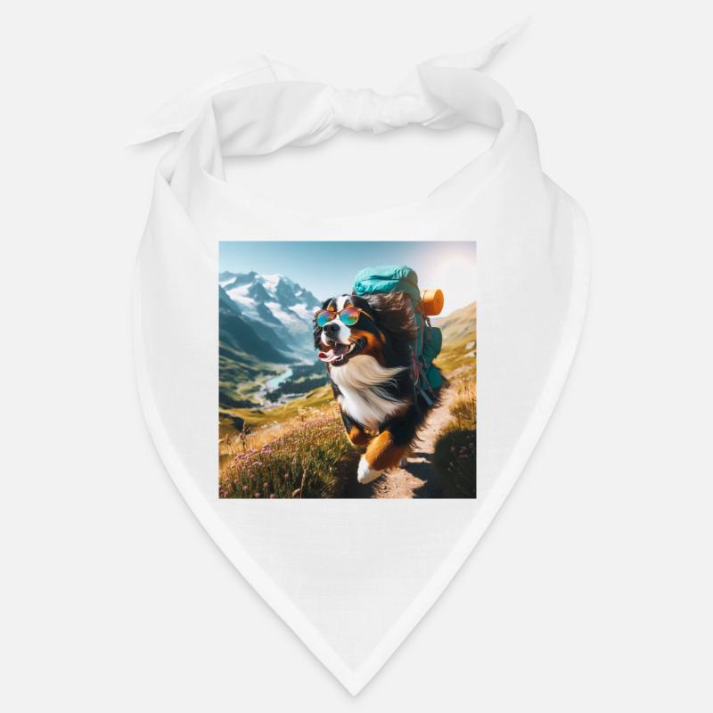Bouvier bernois Bandana